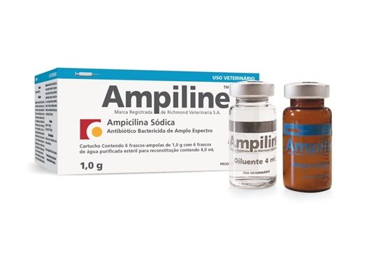 AMPILINE SMALL